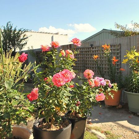 Cooma Cottage Bagian luar foto