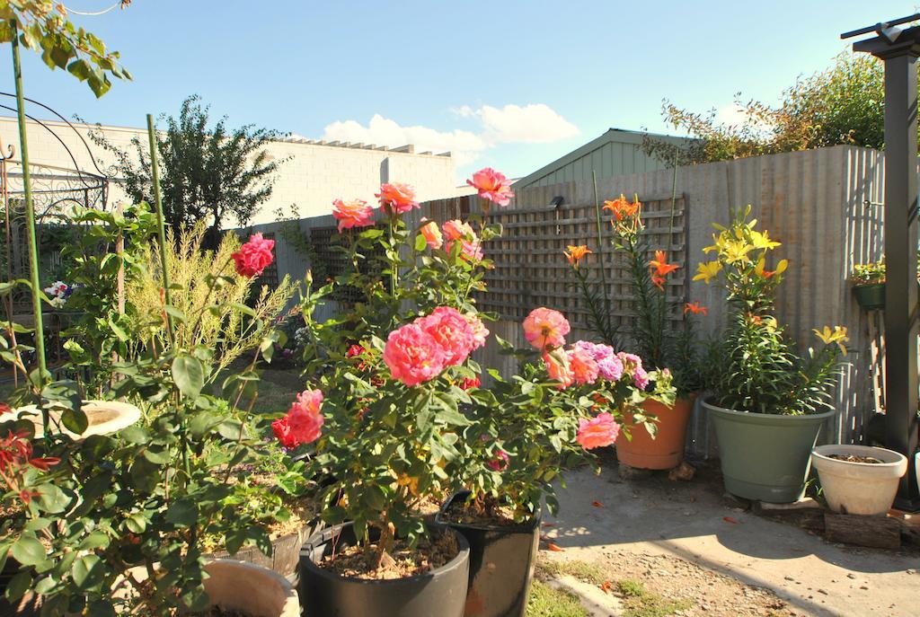 Cooma Cottage Bagian luar foto